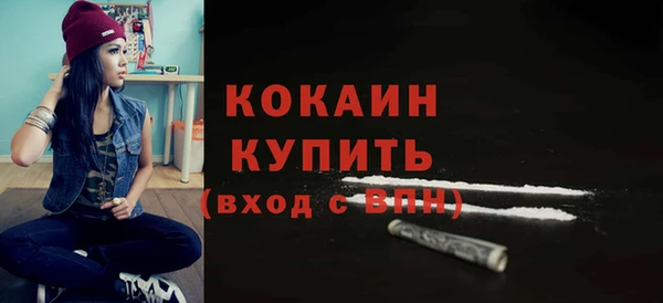 тгк Алексин