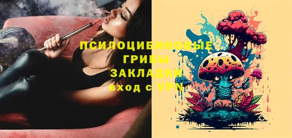 метадон Покачи