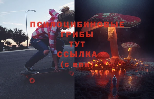 тгк Алексин