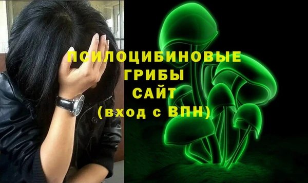 мдпв Алзамай