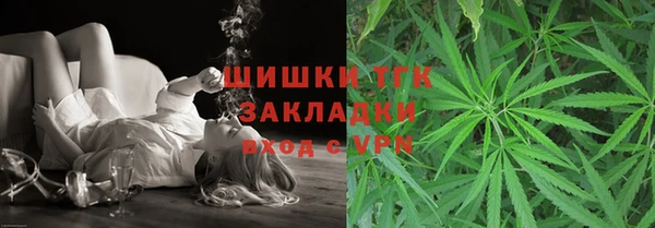 тгк Алексин