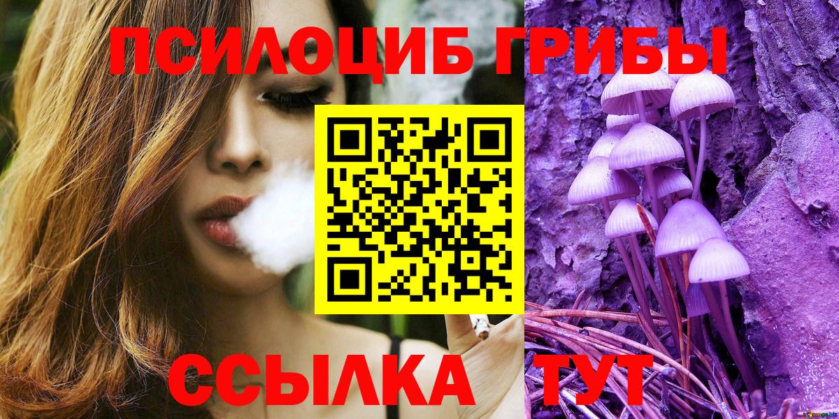 Красноуфимск  Псилоцибиновые грибы Psilocybe  Вход с VPN  сколько стоит  Псилоцибиновые грибы Psilocybine cubensis 