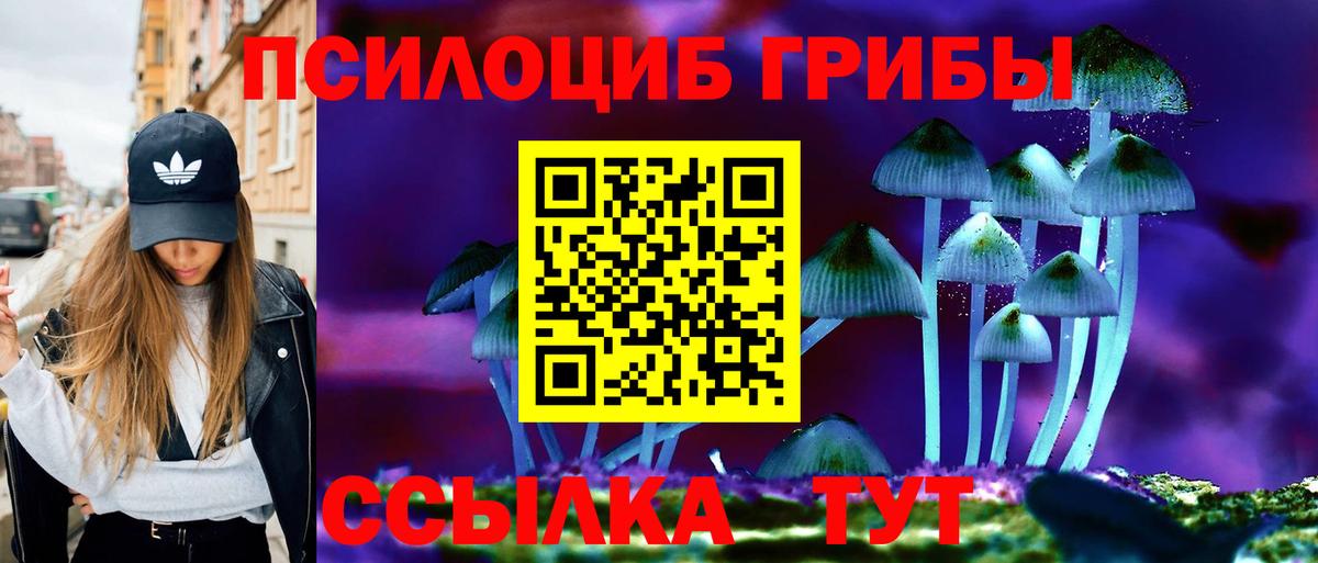 Псилоцибиновые грибы Cubensis Красноуфимск